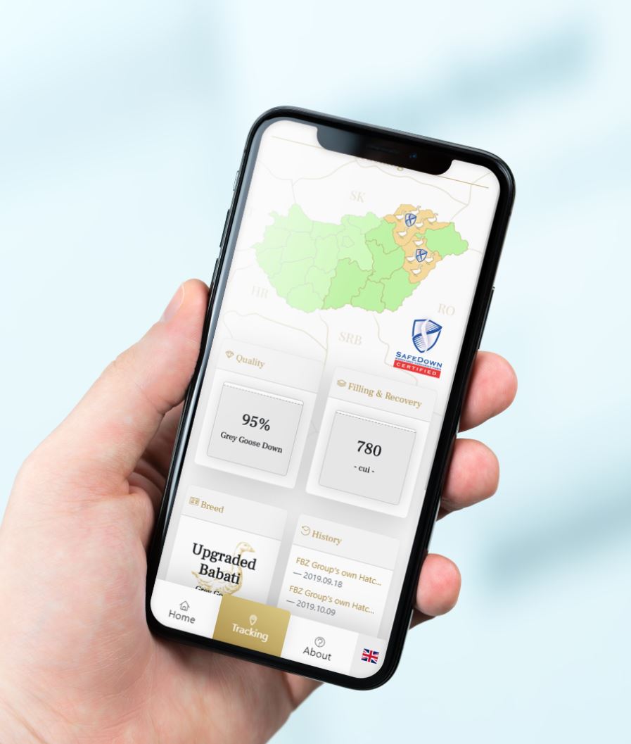 SafeDown Gallery Image 4